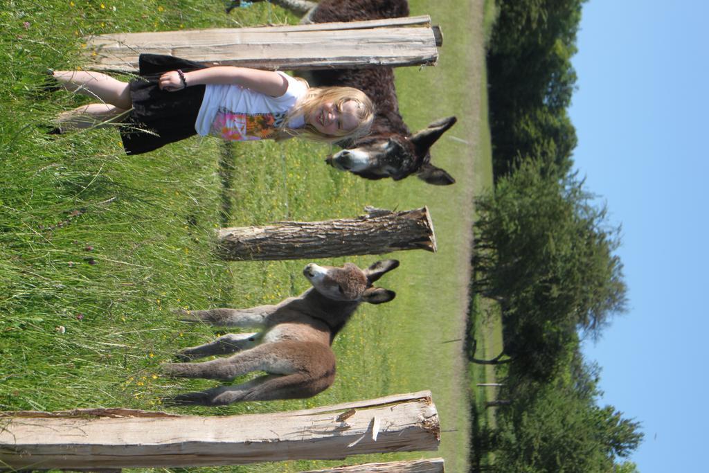 Genevreuille Ferme Pedagogique " L'Bout D'Chemin"ヴィラ エクステリア 写真
