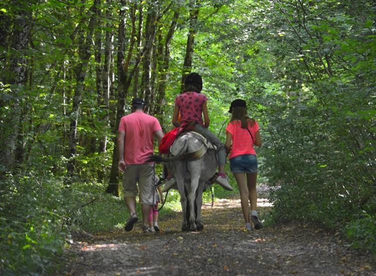 Genevreuille Ferme Pedagogique " L'Bout D'Chemin"ヴィラ エクステリア 写真
