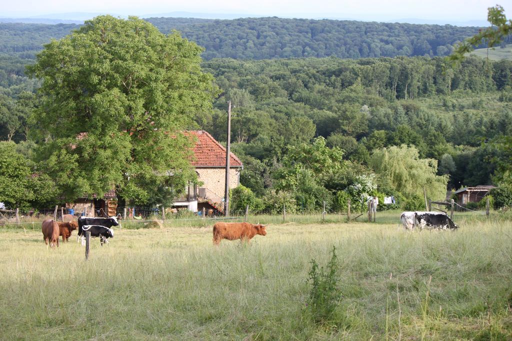 Genevreuille Ferme Pedagogique " L'Bout D'Chemin"ヴィラ エクステリア 写真